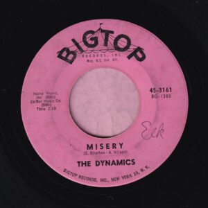 The Dynamics ” Misery ” Bigtop Vg+