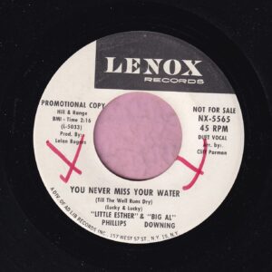 Little Esther Phillips & Big Al Downing ” You Never Miss Your Water ” Lenox Records Demo Vg+