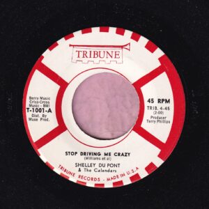 Shelley Du Pont ” Stop Driving Me Crazy ” Tribune Records Vg+